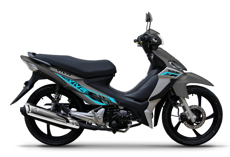 VIVA R STYLE GRIS 2025 copia